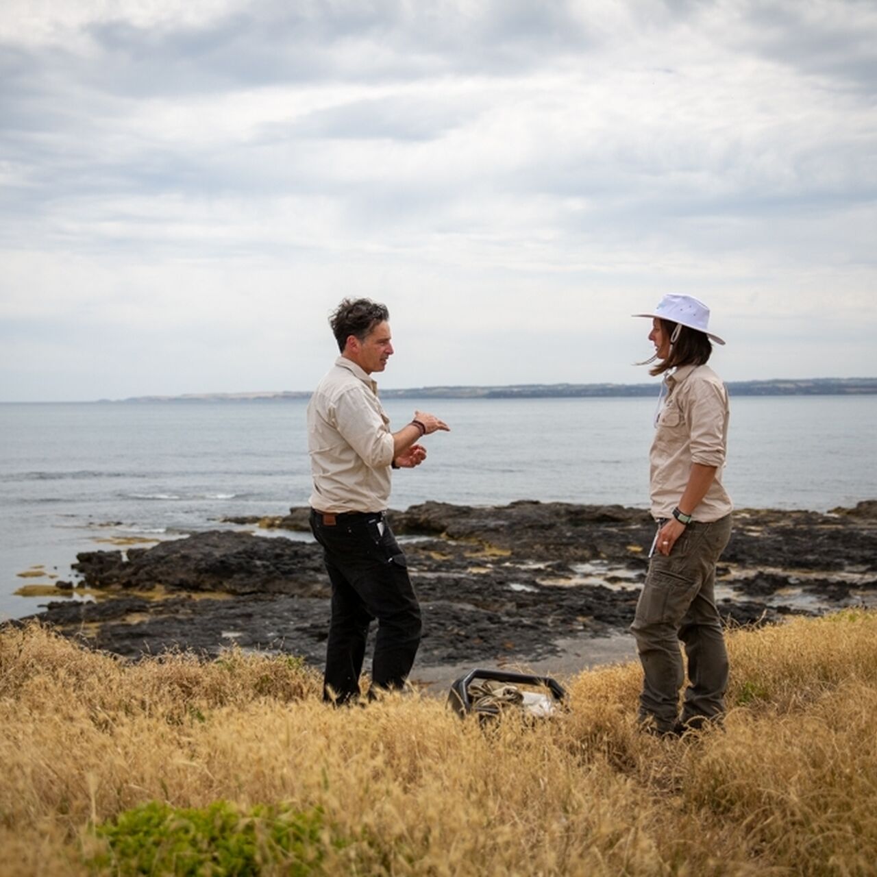 NP SP Penguin Weighbridge Location 8896