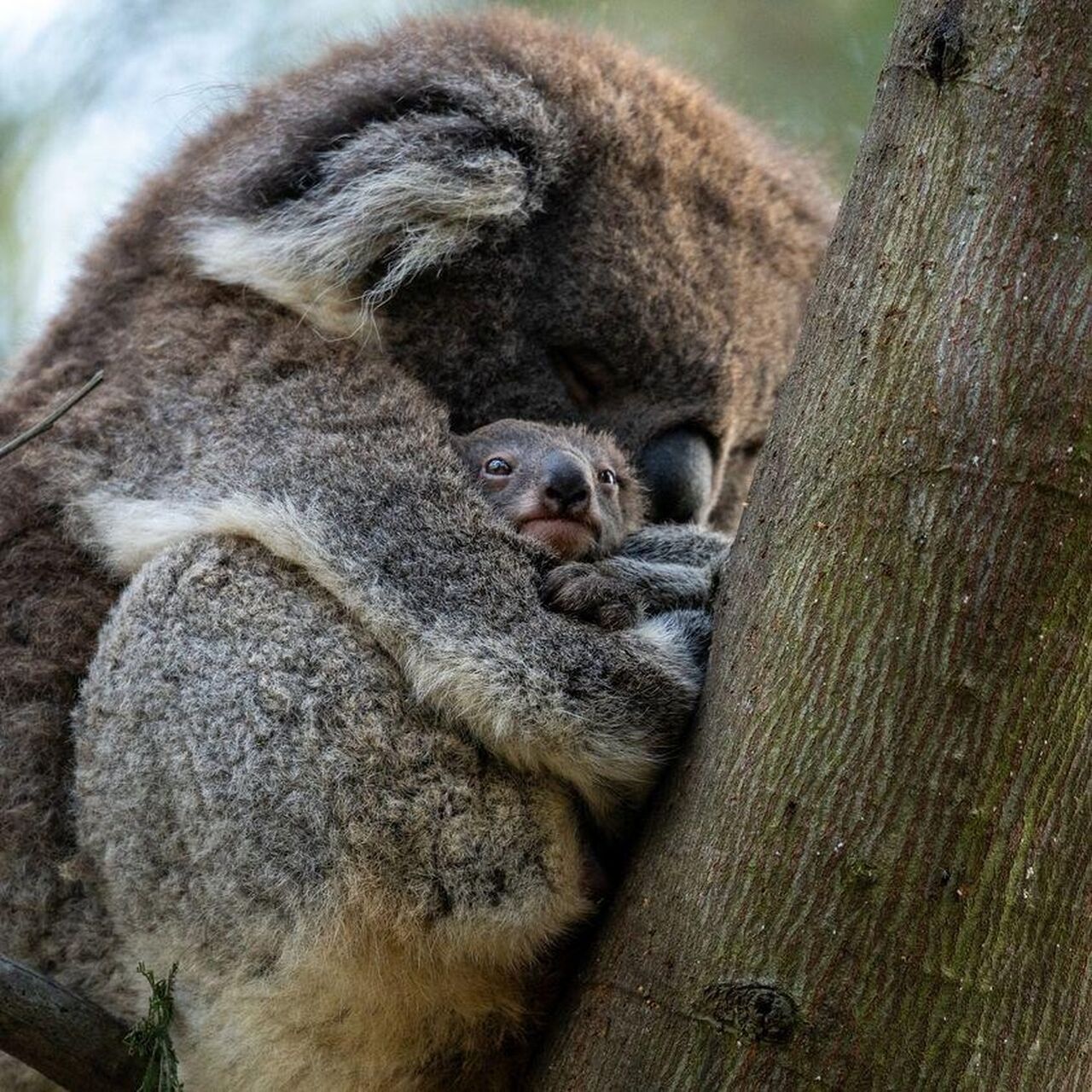 369679411 713494777489928 7153853949923454046 n