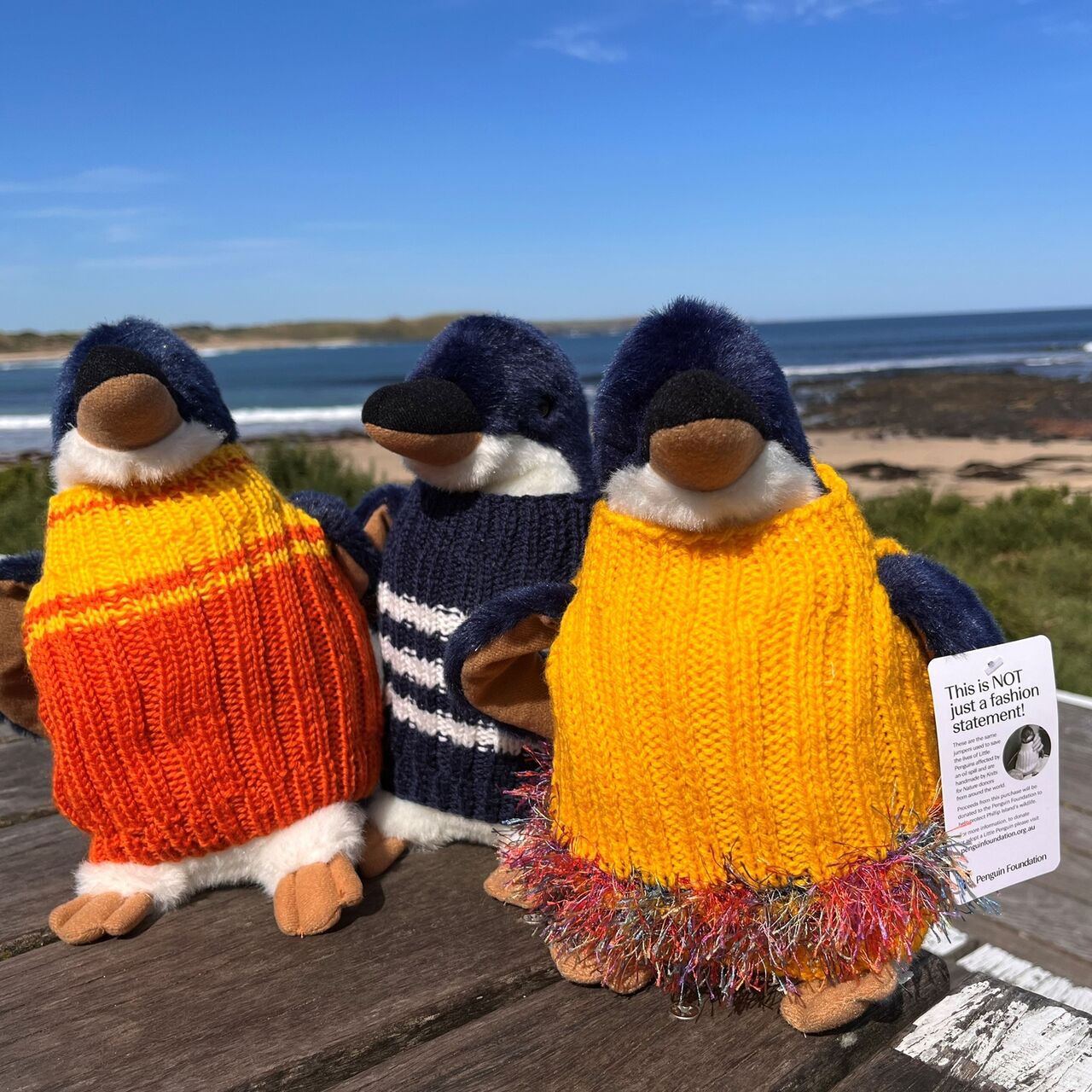 Knits on beach