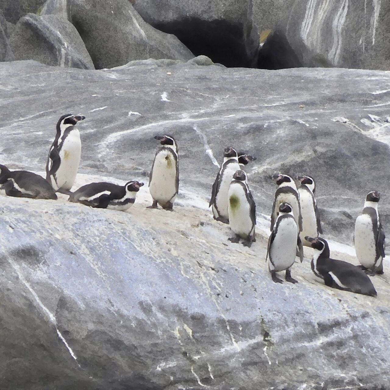 3e6d05ec 33b6 4401 bd1e e8dd000f6e4e