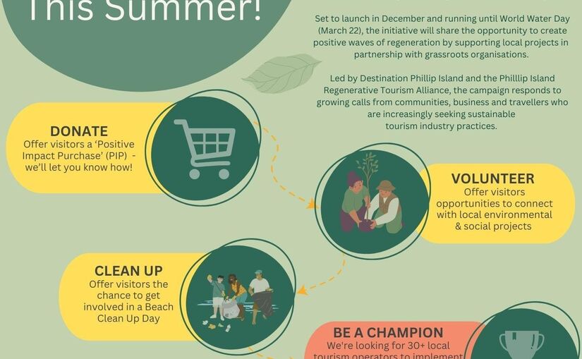 Love phillip island this summer