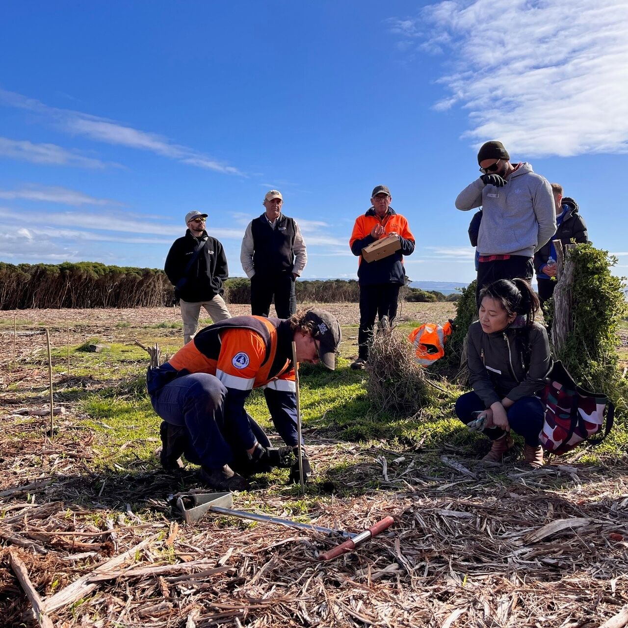 Planting day NAB2