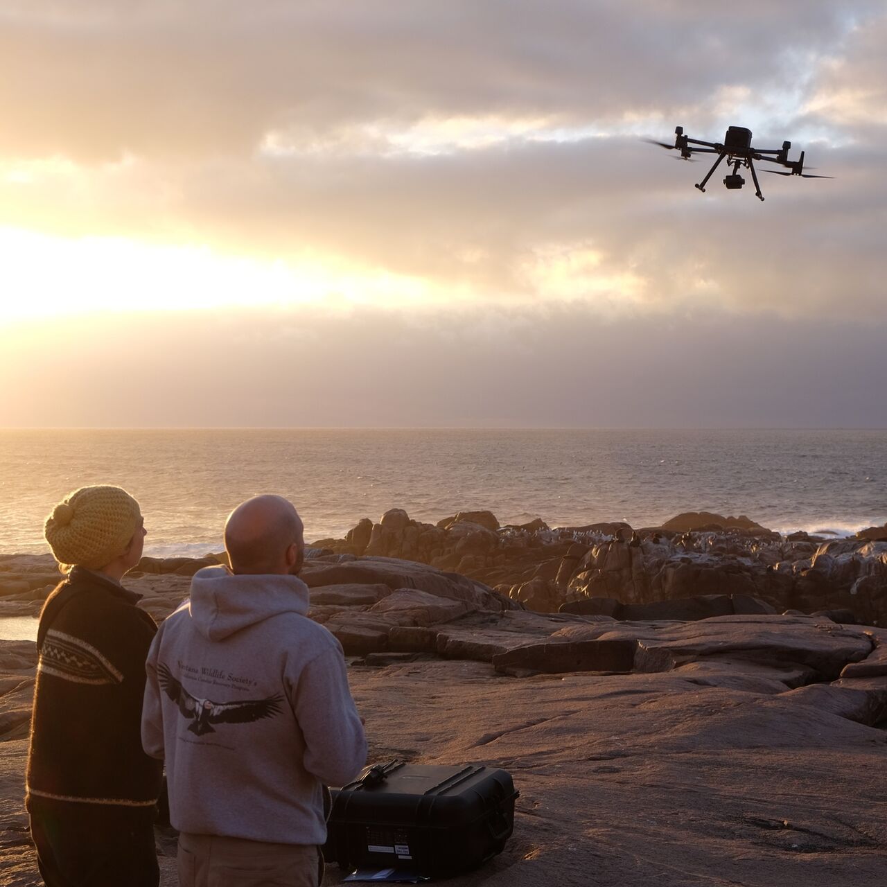 Adam Yaney Keller Monash University Ph D student right and Bec Mc Intosh PINP flying the drone to take thermal images off Little Gabo island Phillip Island Nature Parks