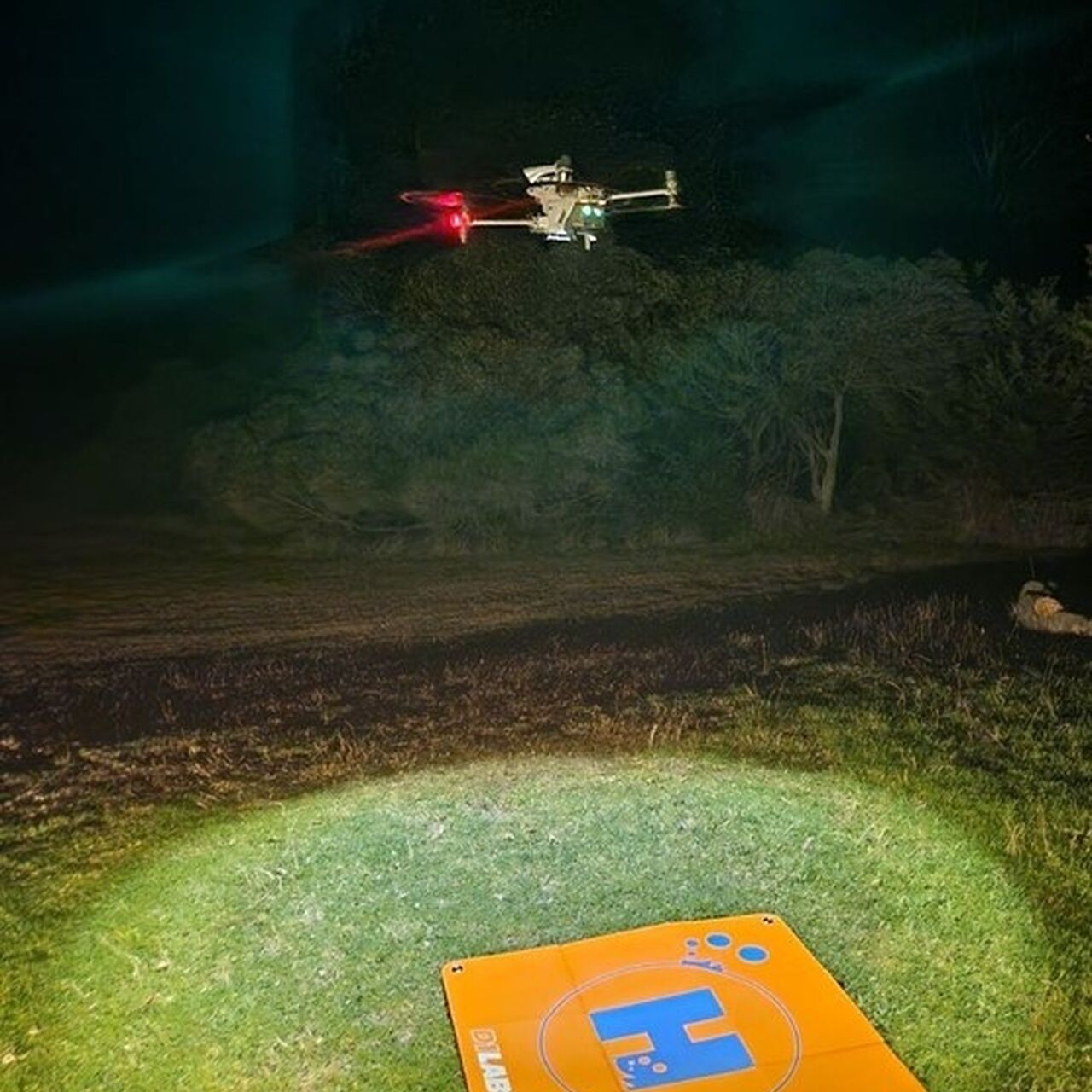 Drone landing