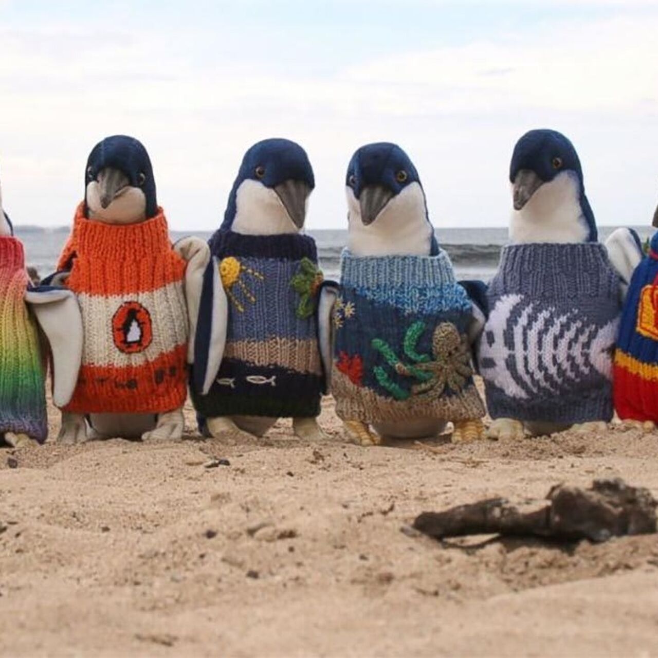 514736 021215 cc penguin sweaters img
