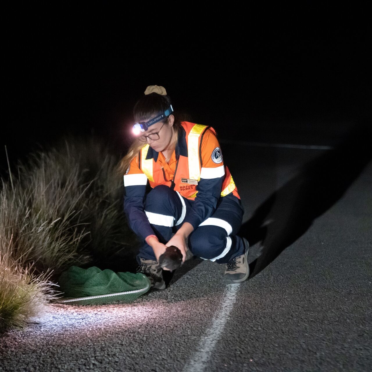 NP Shearwater Rescue 3