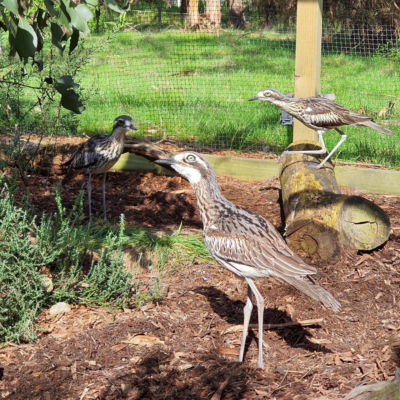 NP 20230904 100314edm web2