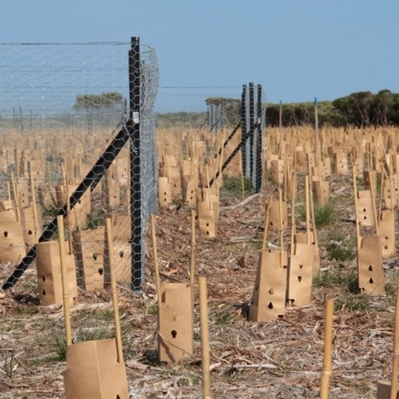 FPLP Manndeville firebreak Sep2023 8797 Resized Image Wz Yw M Cw0 MD Bd