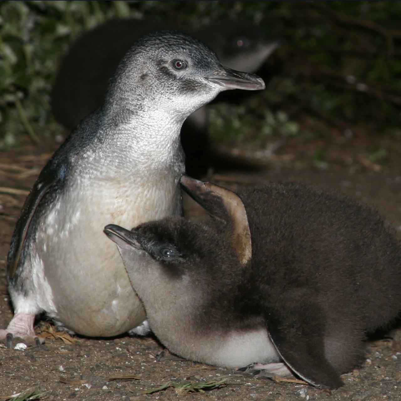 Screenshot 2024 10 03 121208