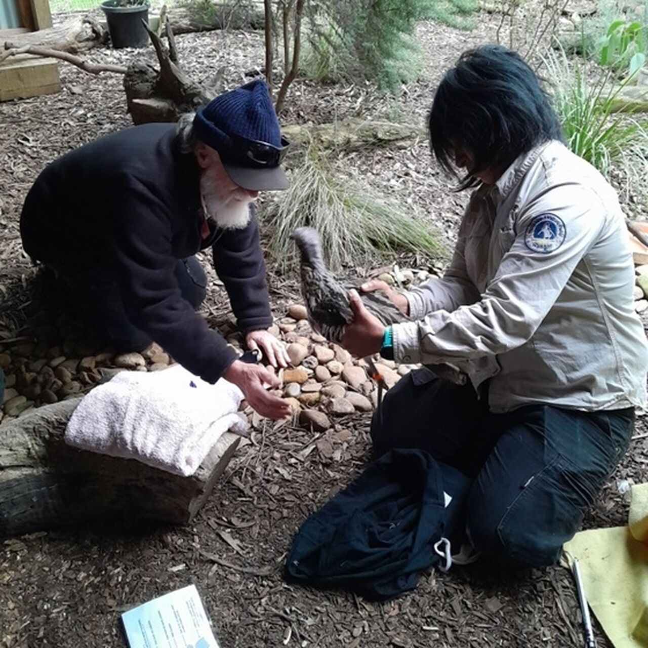 NP Checking the legs