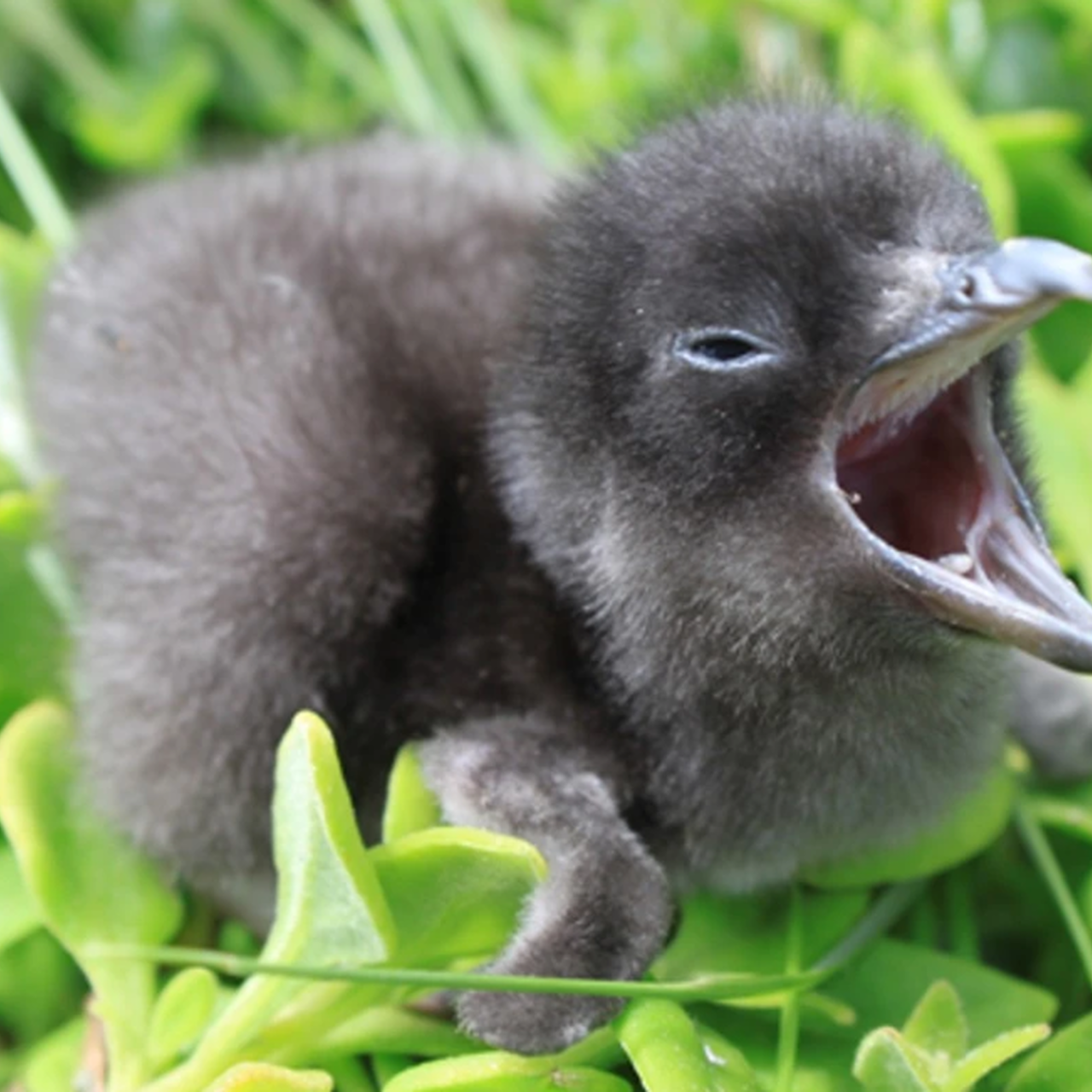 Screenshot 2025 01 06 154250 S