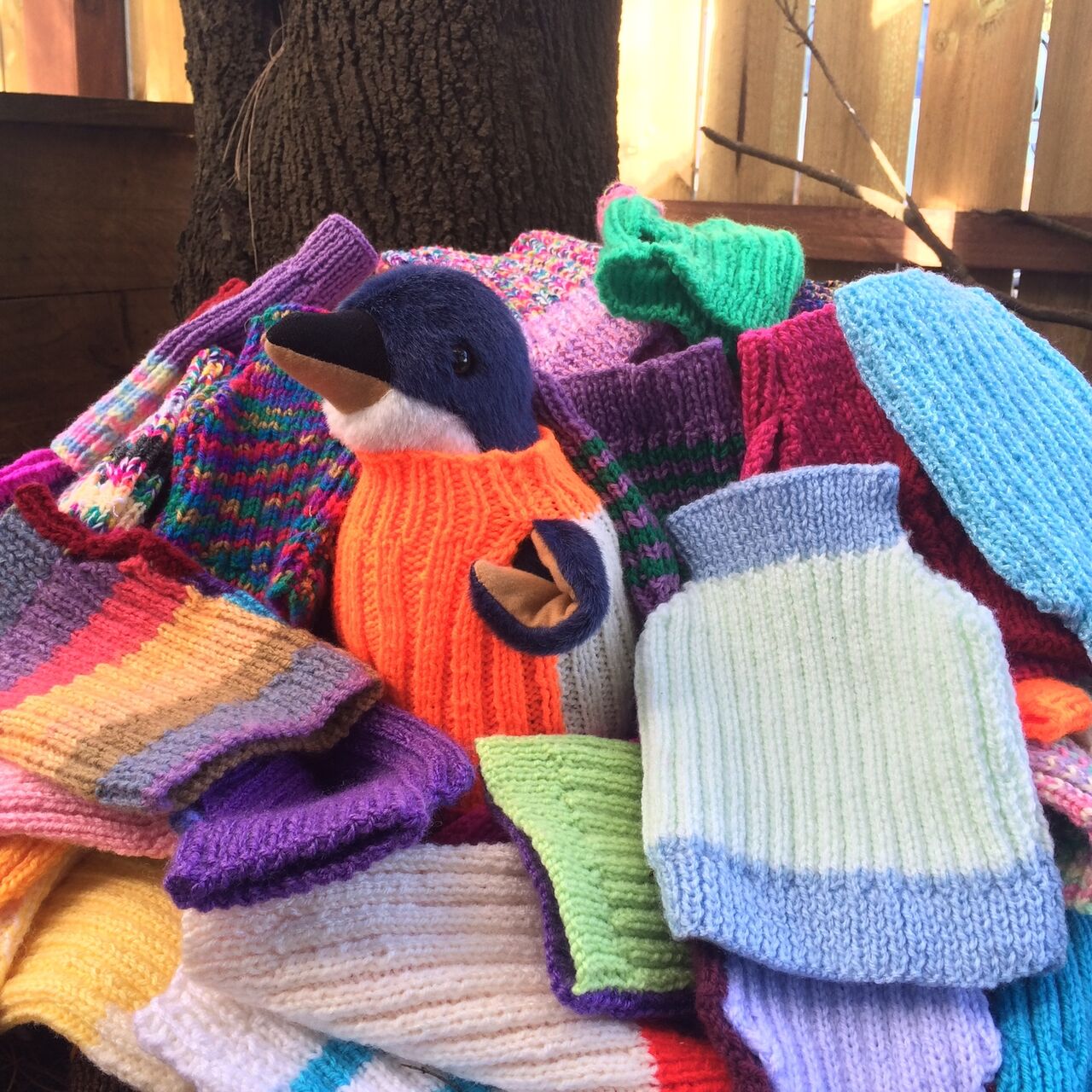 Penguin jumper thank you 1