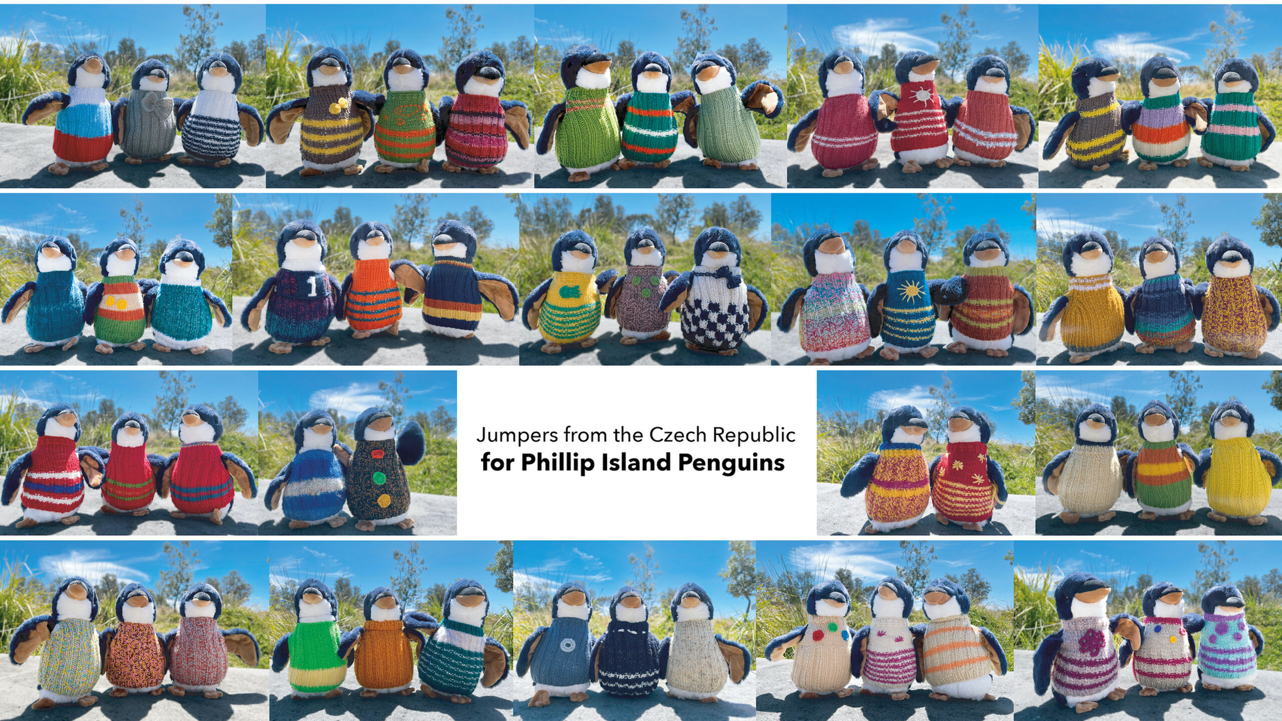 Penguin jumpers