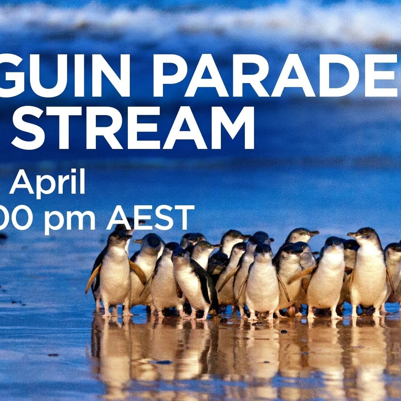 490293649 1083448253823764 7220335013498622483 n