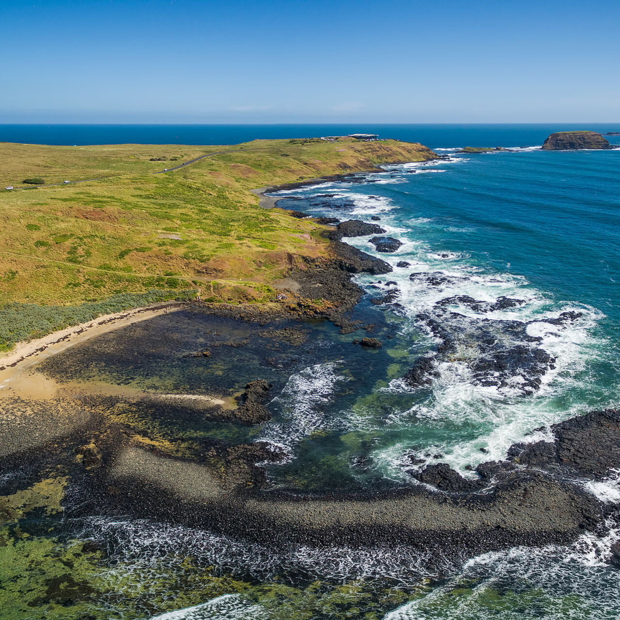 NP SP SS shutterstock 519974320