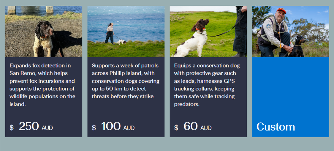 Dog appeal value props