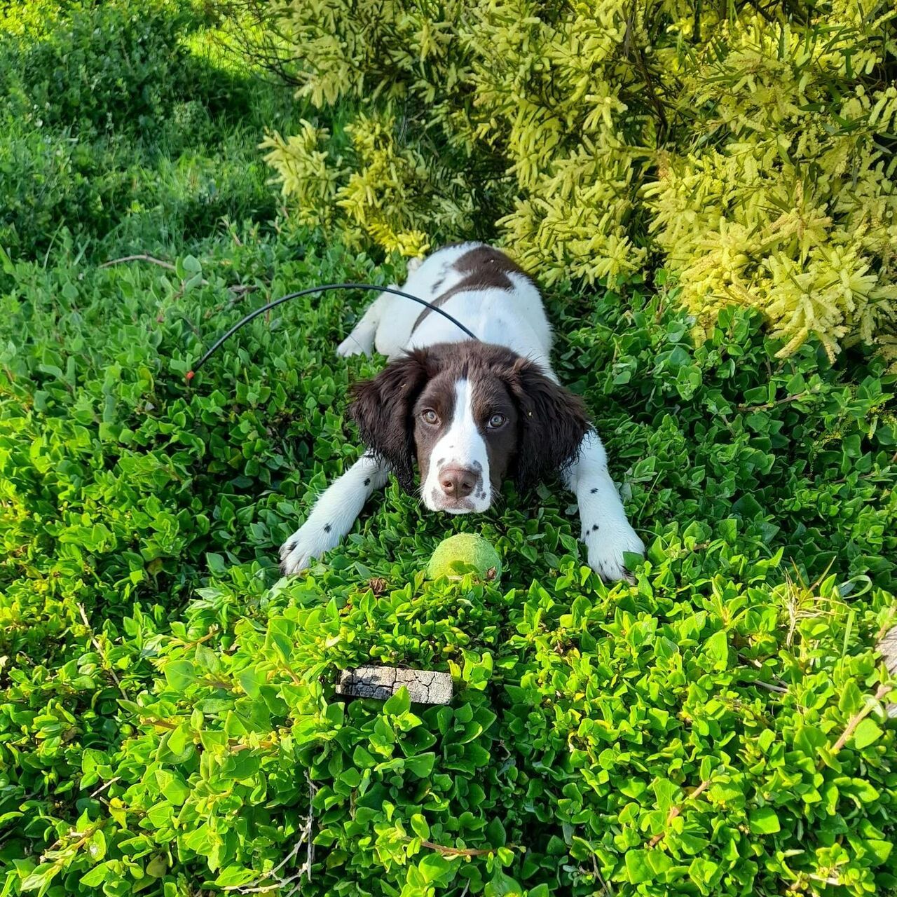 NP PI Macey training Sep 2022