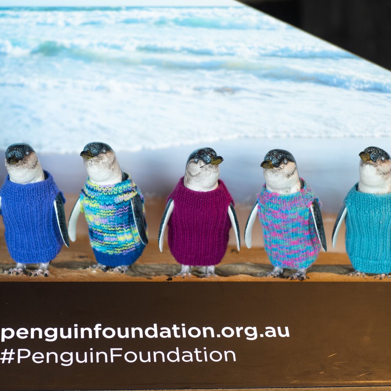 Penguin Foundation Display 2 crop
