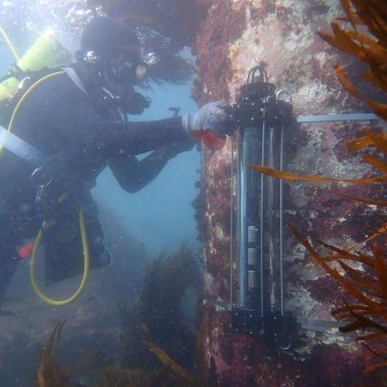 Resizedimage600450 Johno and hydro1 Holly Baird 2021