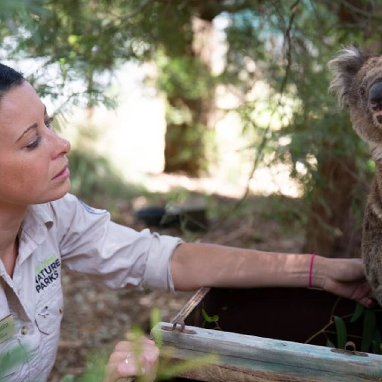 Jess and Koala