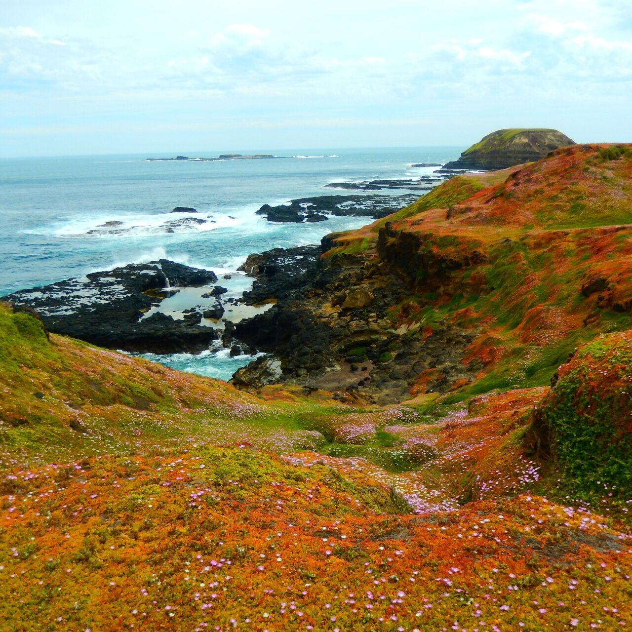 Nobbies shutterstock 705613750