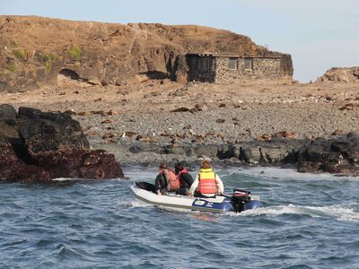 Seal rocks research