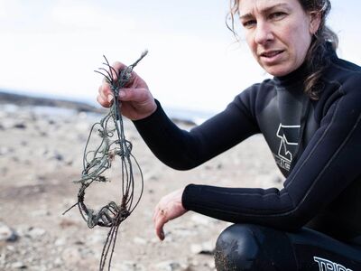 Seal rocks marine debris