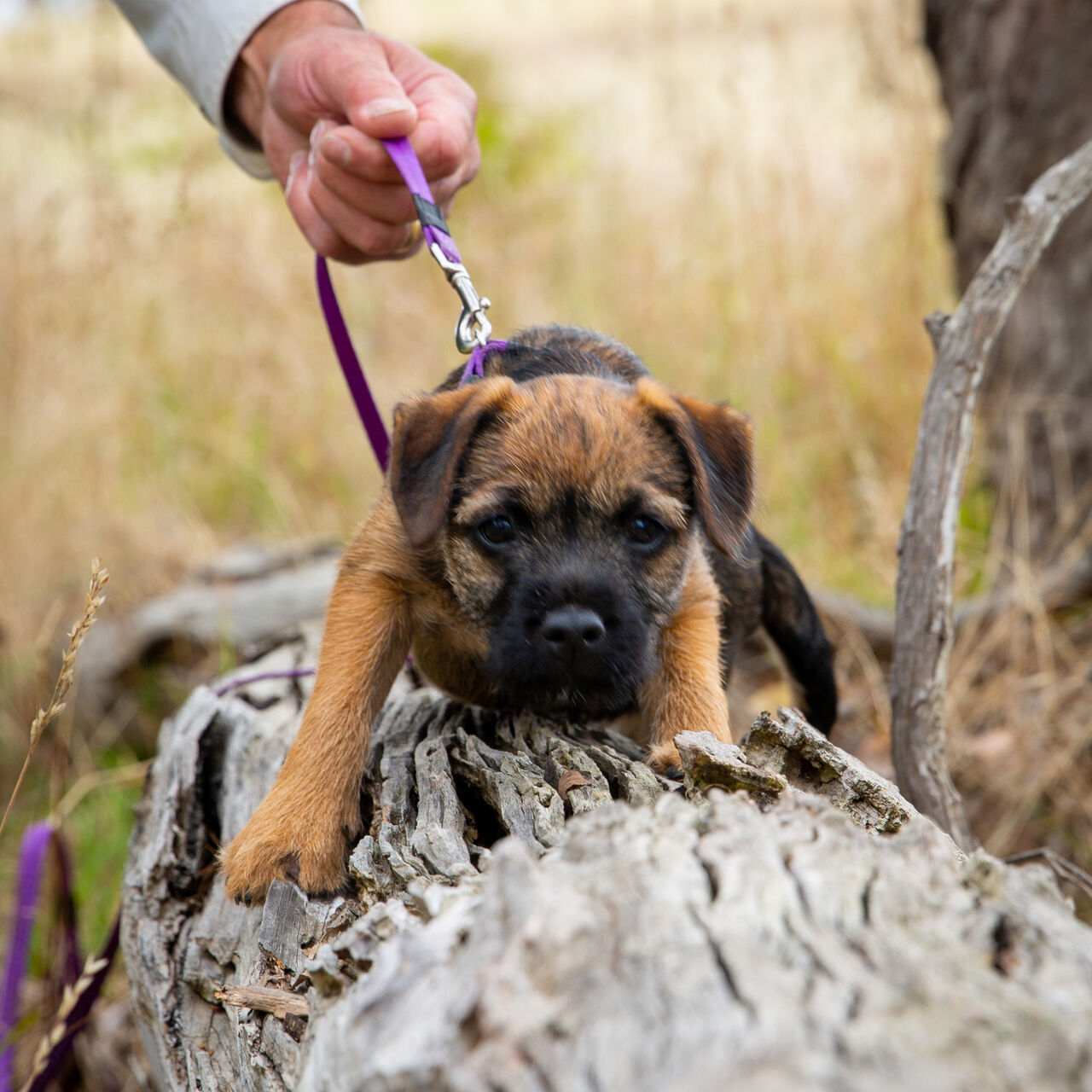 Marbee Feb 2020 9426