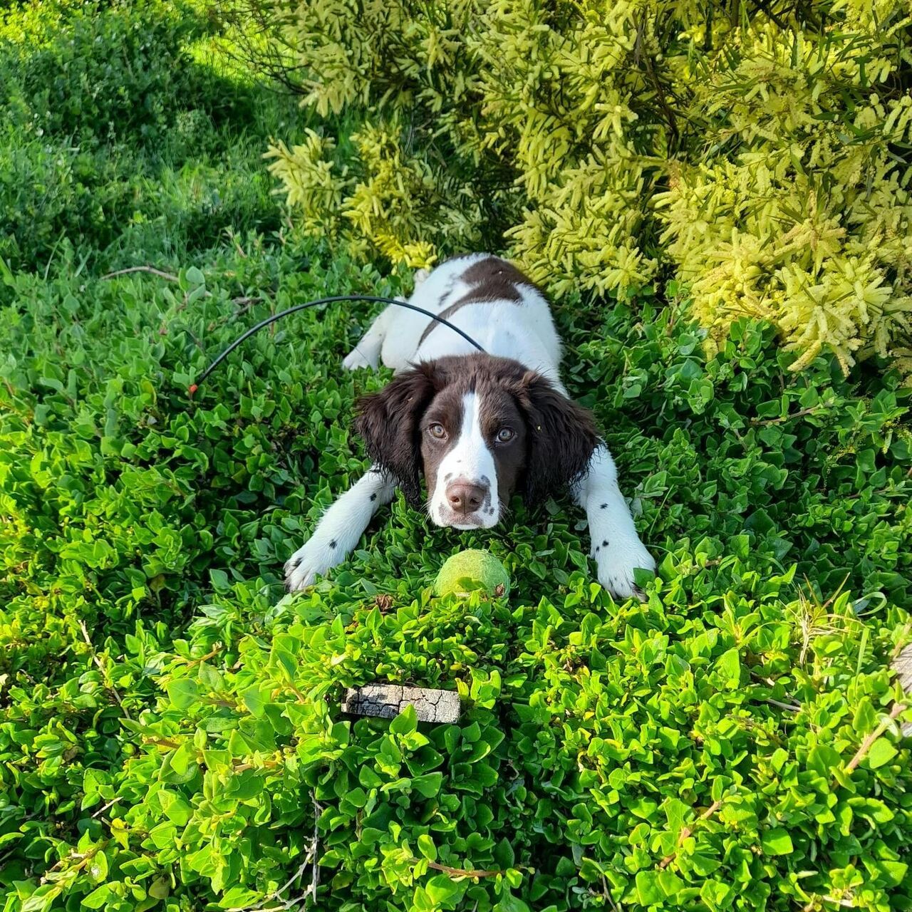 Macey training Sep 2022