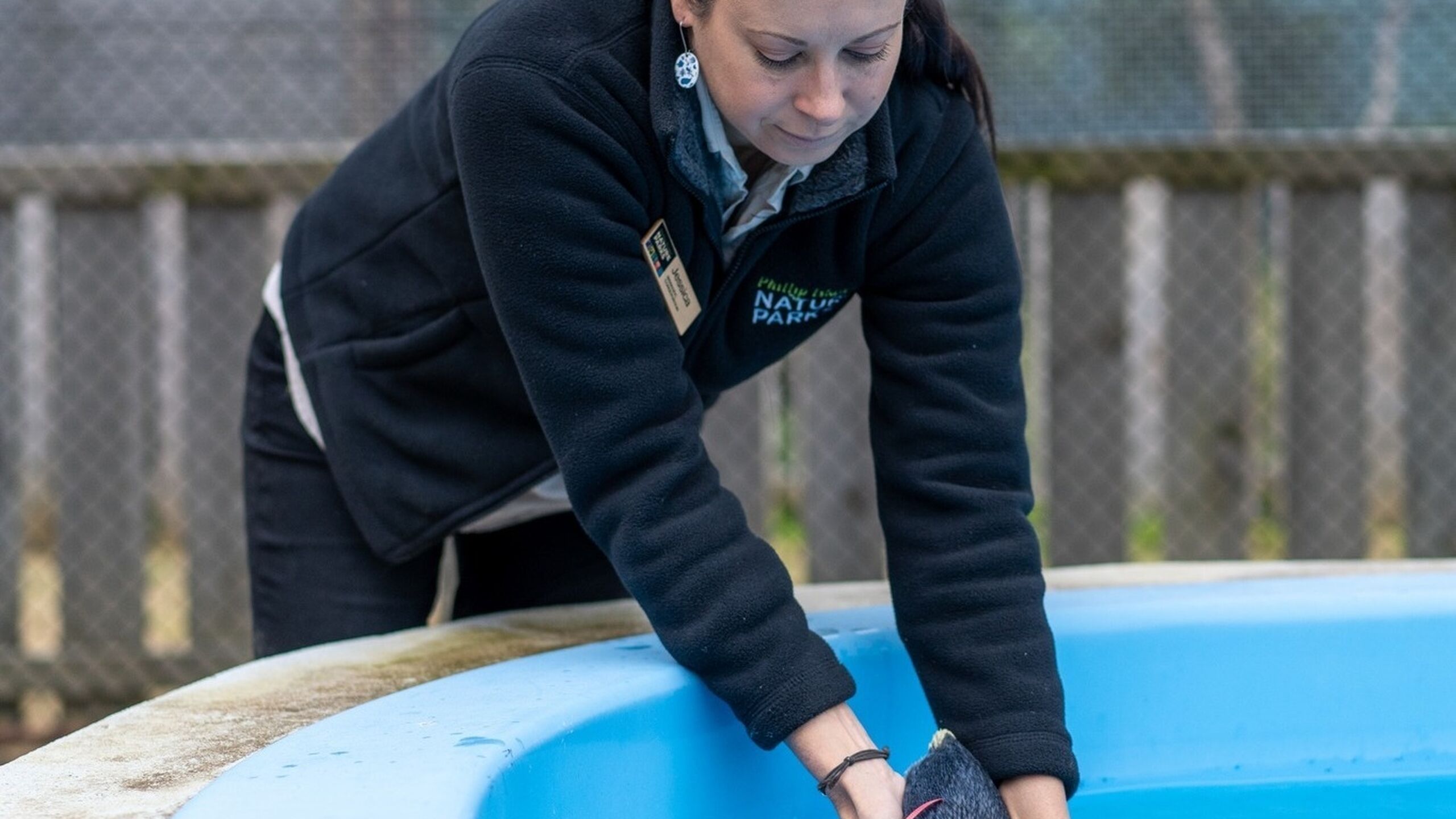 Jess rehab pool
