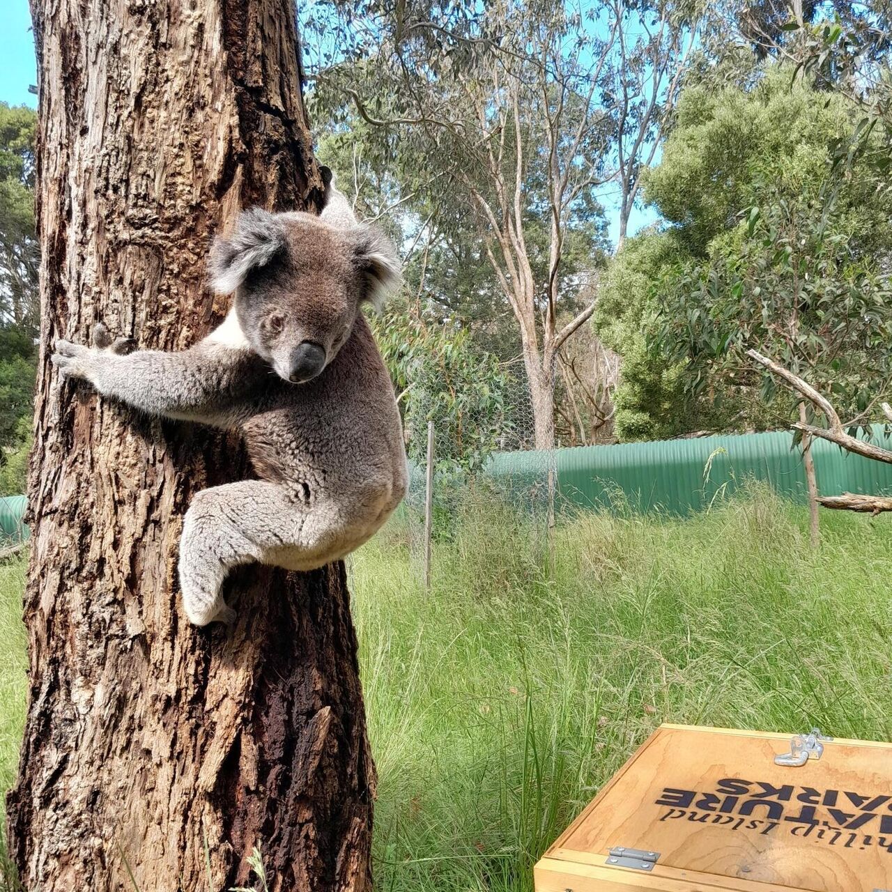 Kiewa post health check release