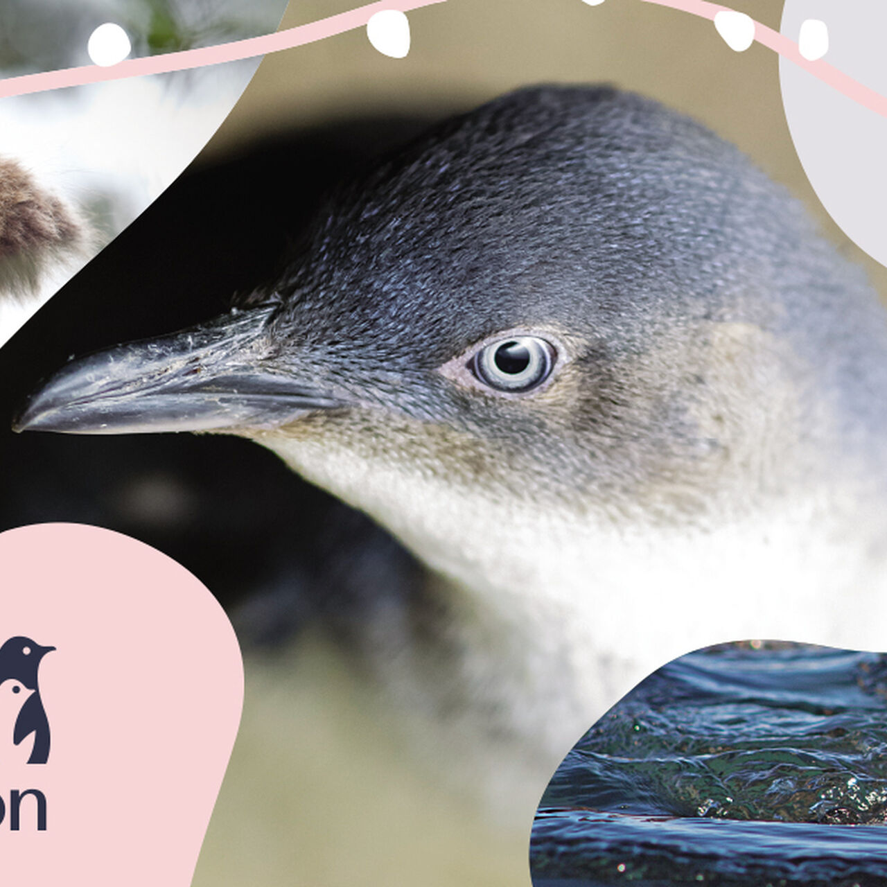 2334 PF Xmas WYG Linked In 1200x628px