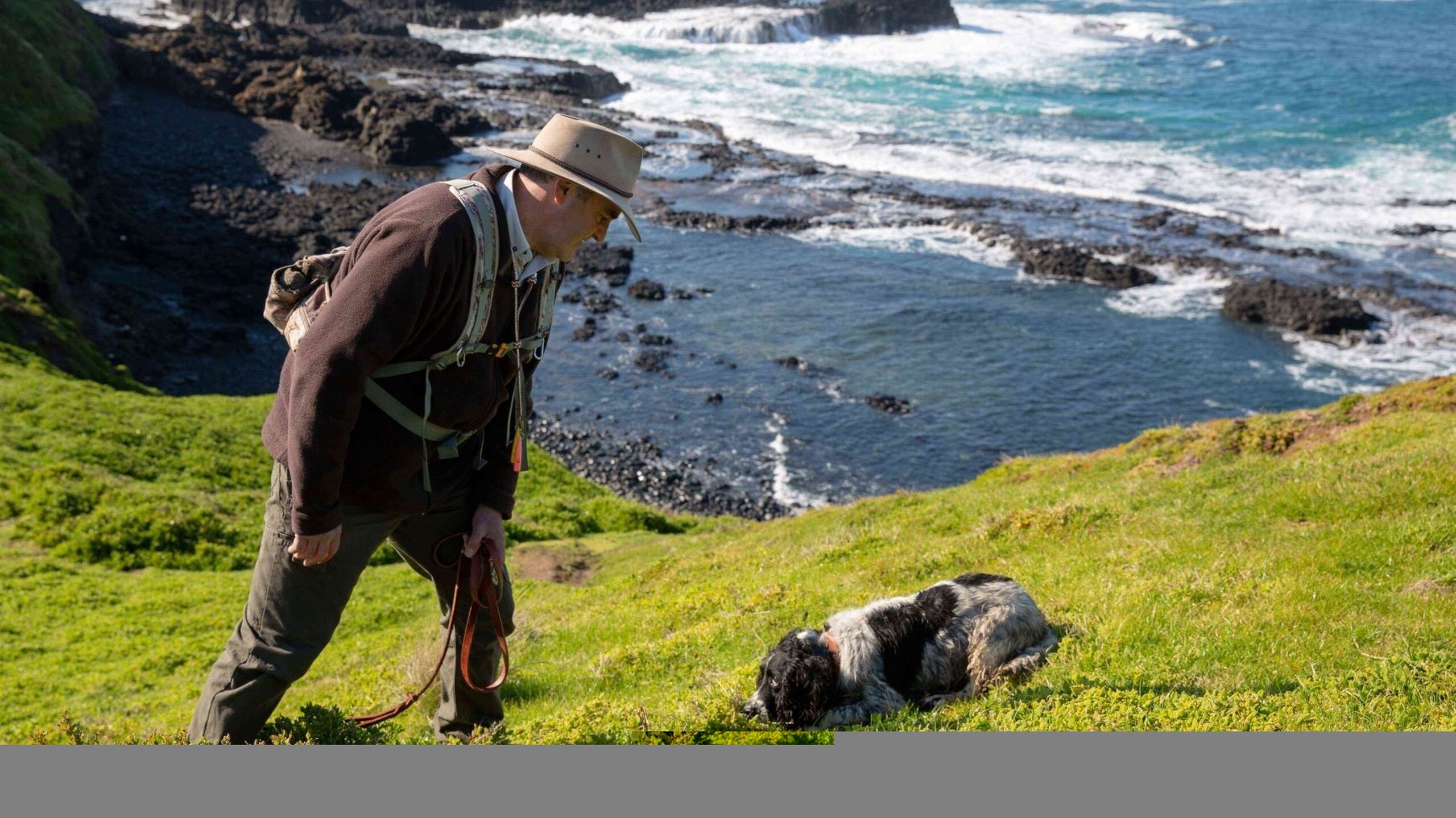 Research and Conservation Projects - Penguin Foundation