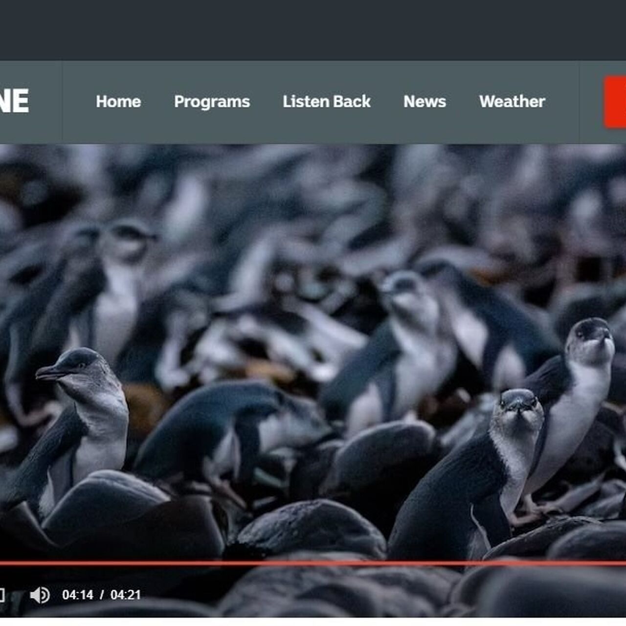 671f8684 b75f 43ea b68c 82a7fb0c4928