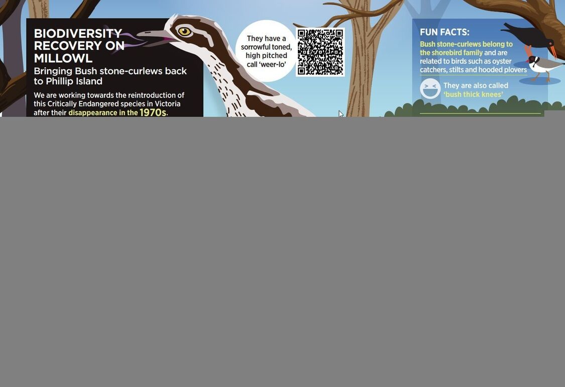 Ffc96ba3 0499 43f4 9a00 8249656bfa7b