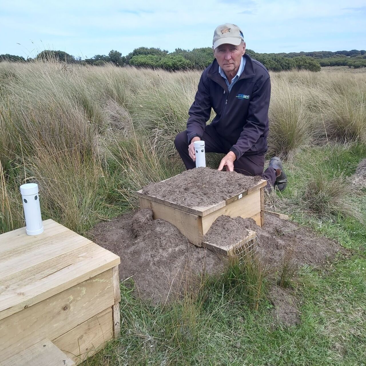 Penguin burrow research