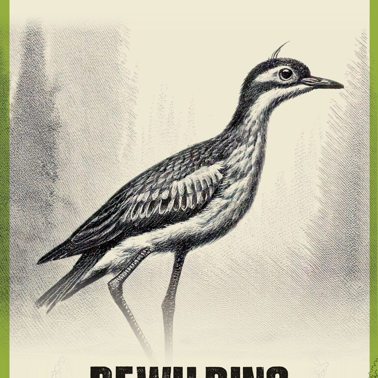 IG FB Socials Rewilding PF7